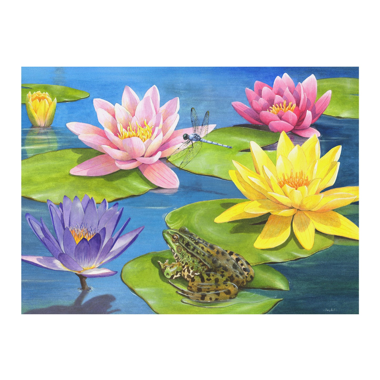 Jigsaws in a Tray 13 Piece - Lily Pond