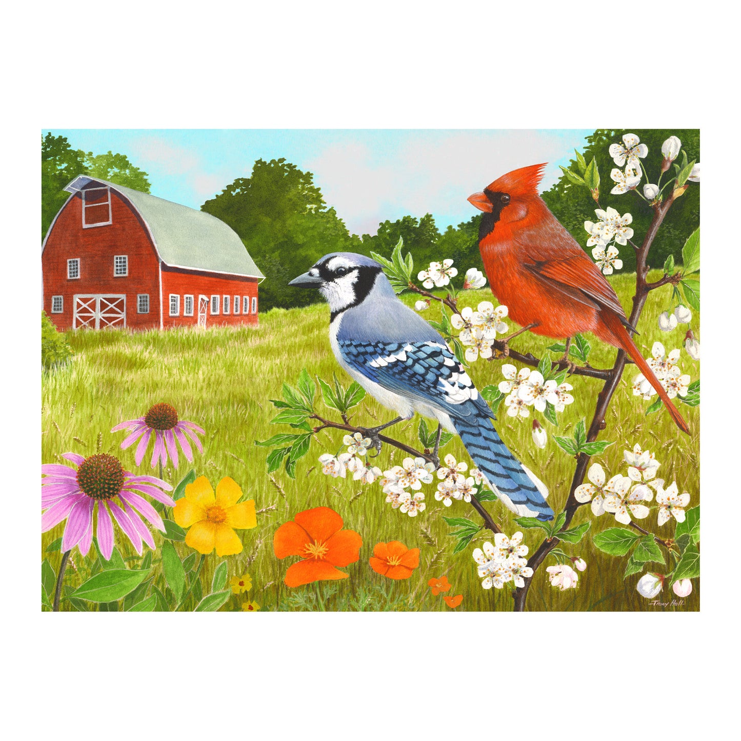 Jigsaws in a Tray 13 Piece - Summer Birds