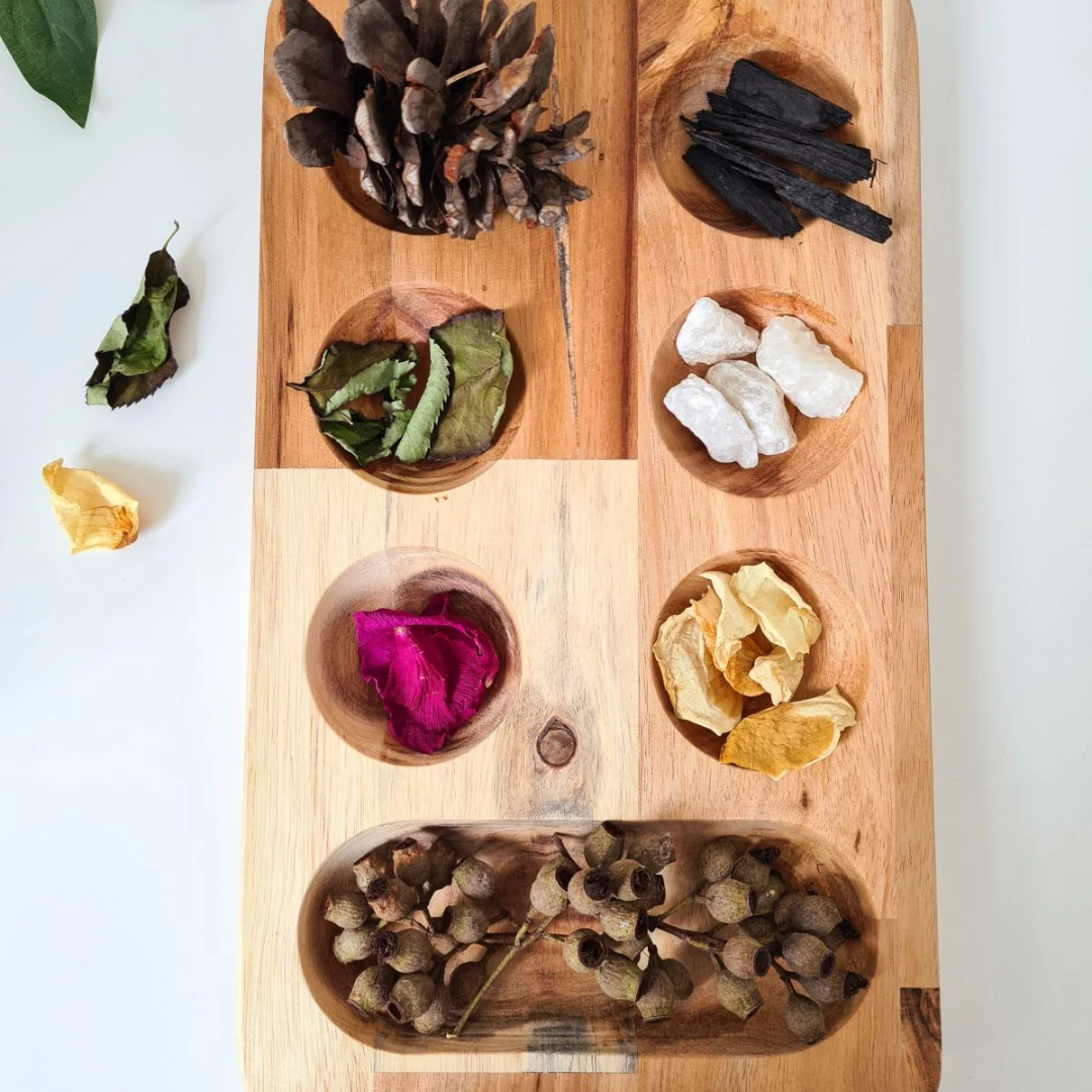 Montessori Sorting Tray
