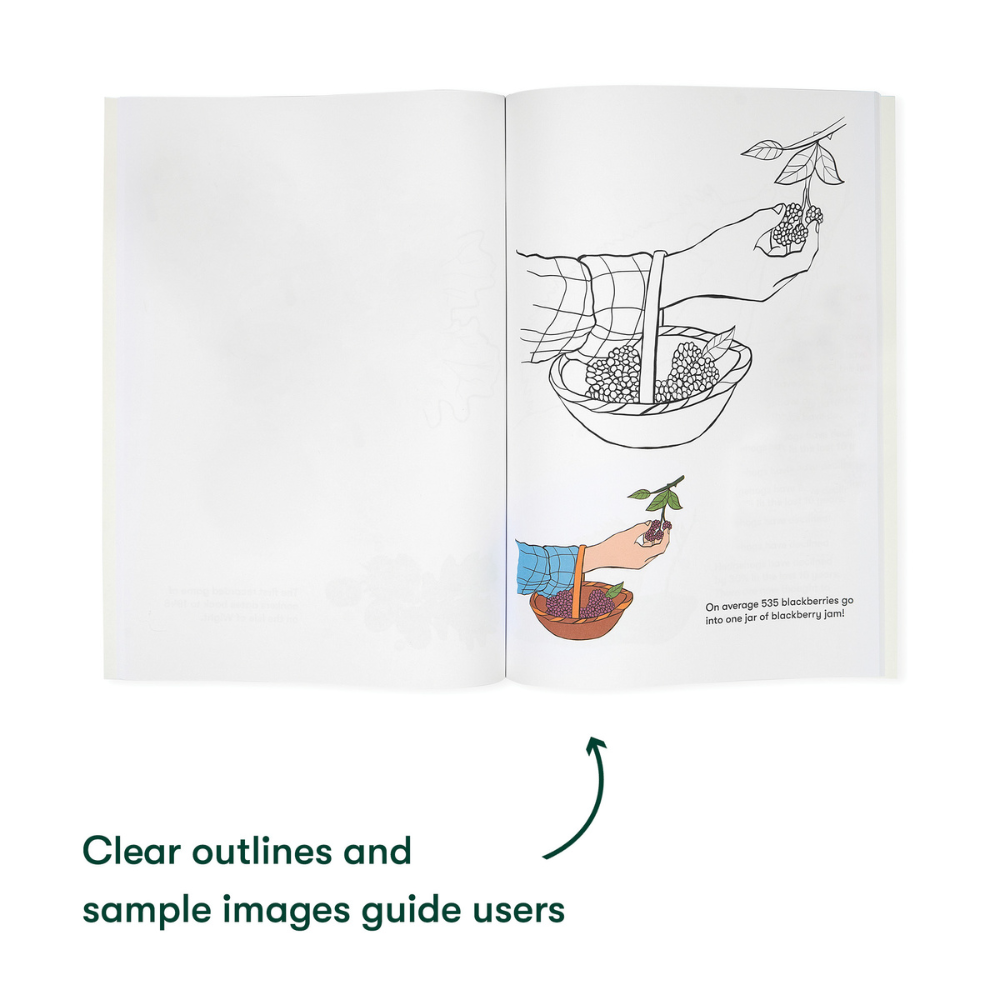 Colouring Books - Radiant Nature