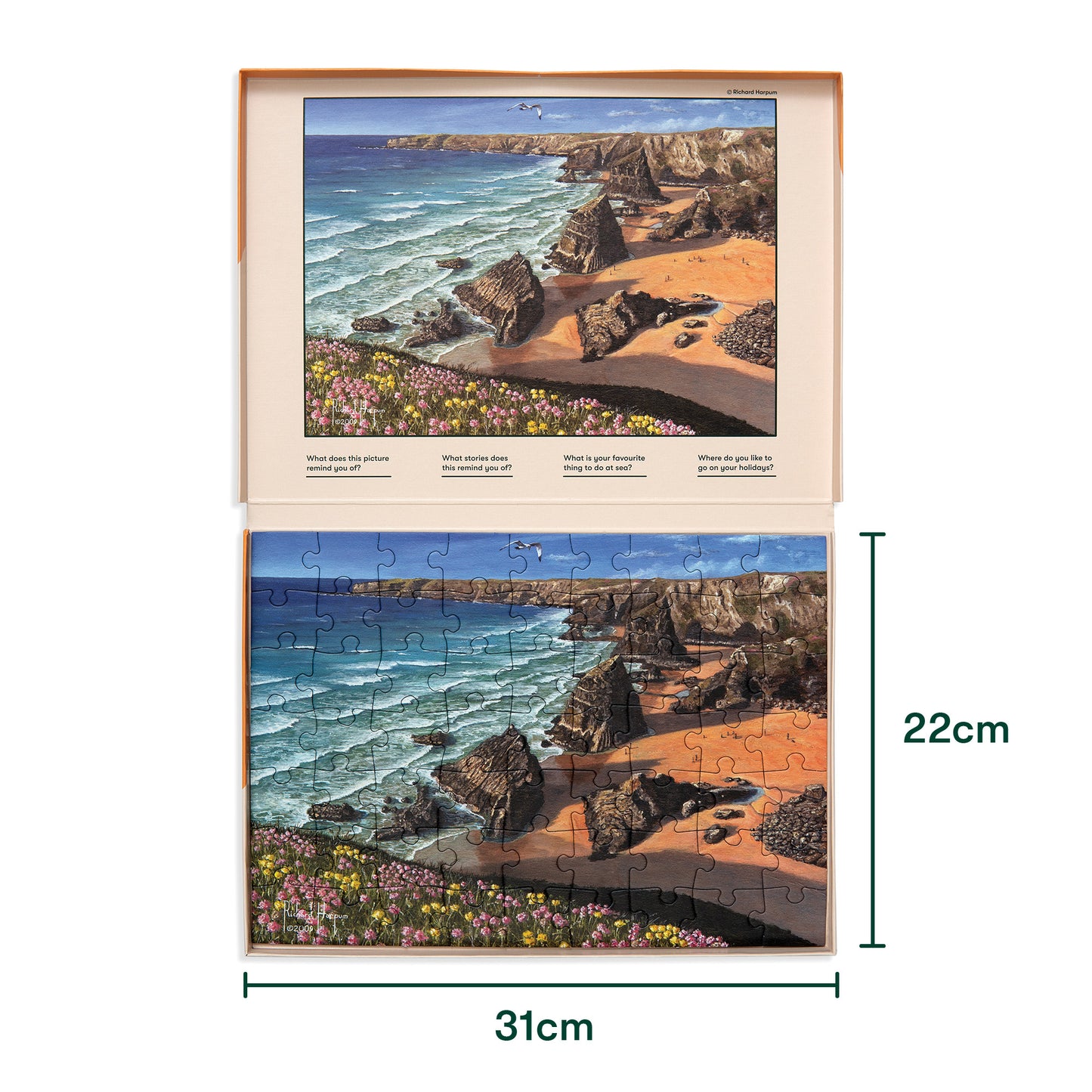 Jigsaws in a Tray 63 Piece - Wild Coast