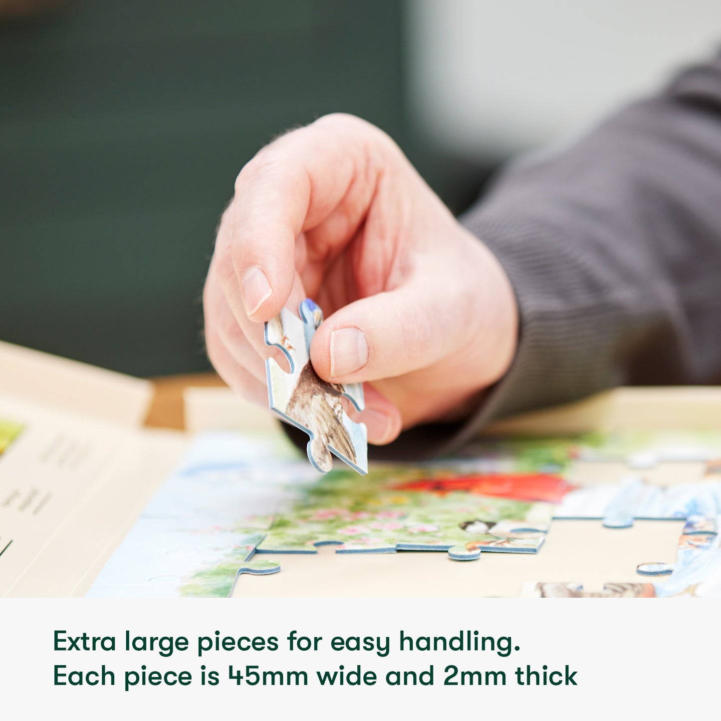 Jigsaws in a Tray 35 Piece - Spring Picnic