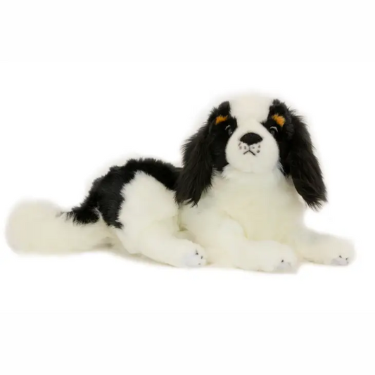 Snuggles - Tri-colour Cavalier King Charles Spaniel