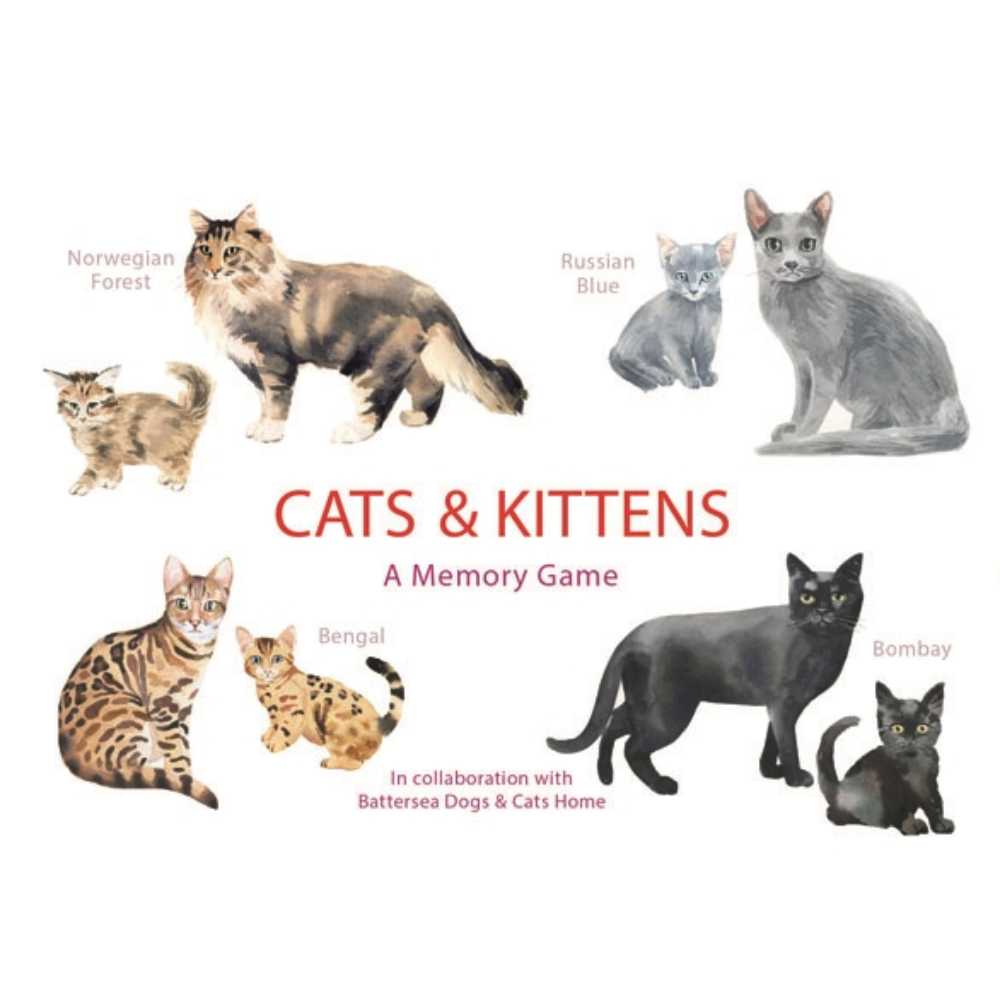 Cats and Kittens Memory Game
