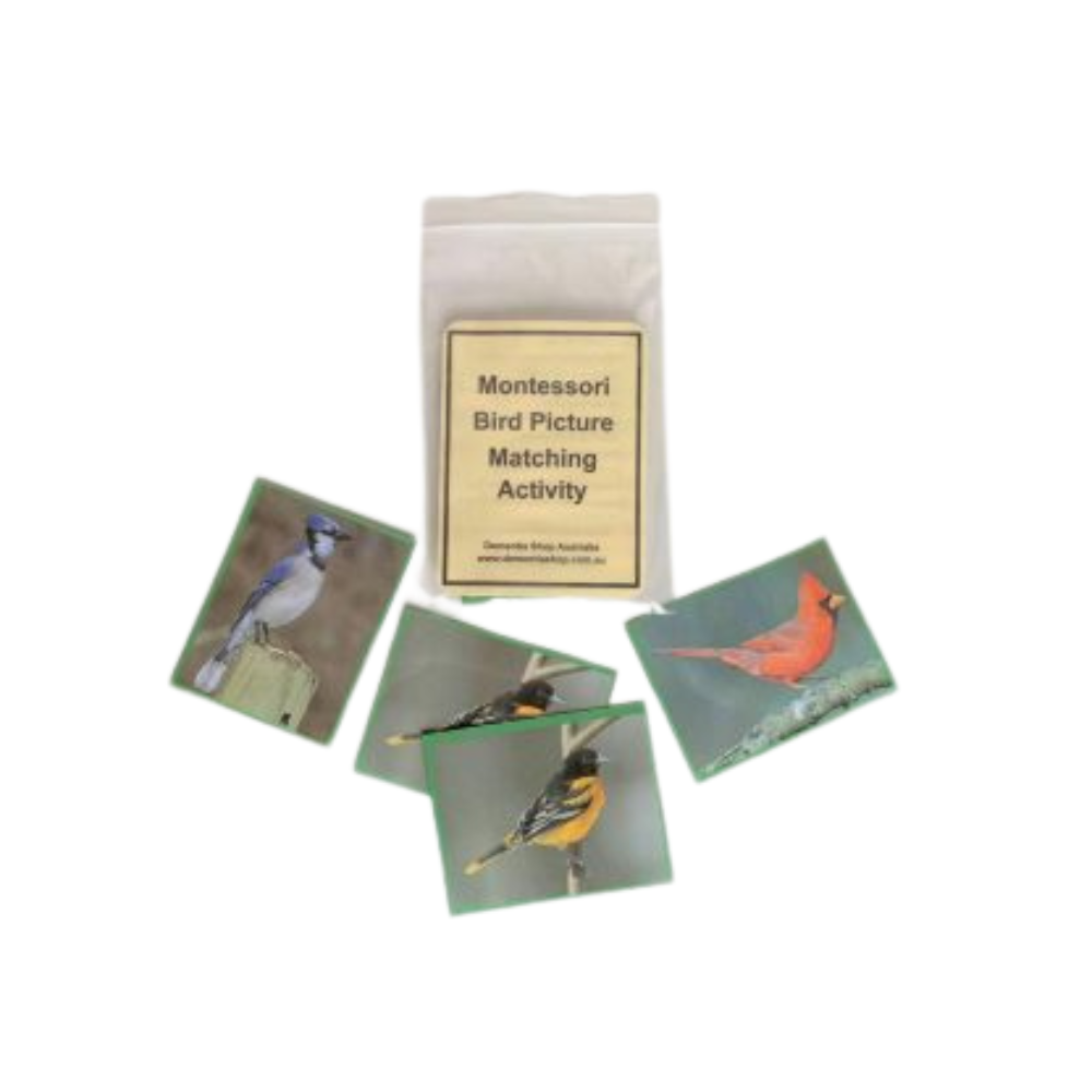 Montessori Matching Activities Level 1