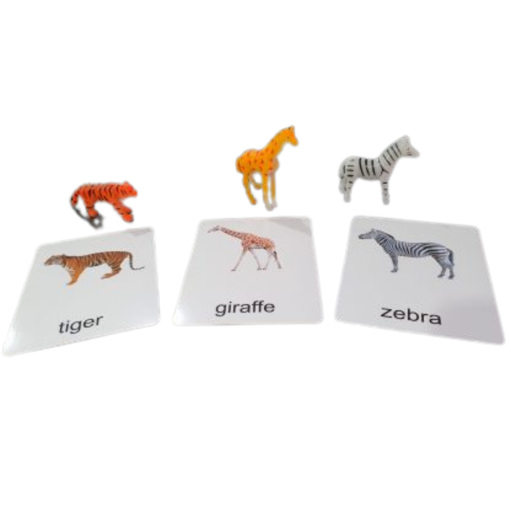 Miniatures with Matching Cards