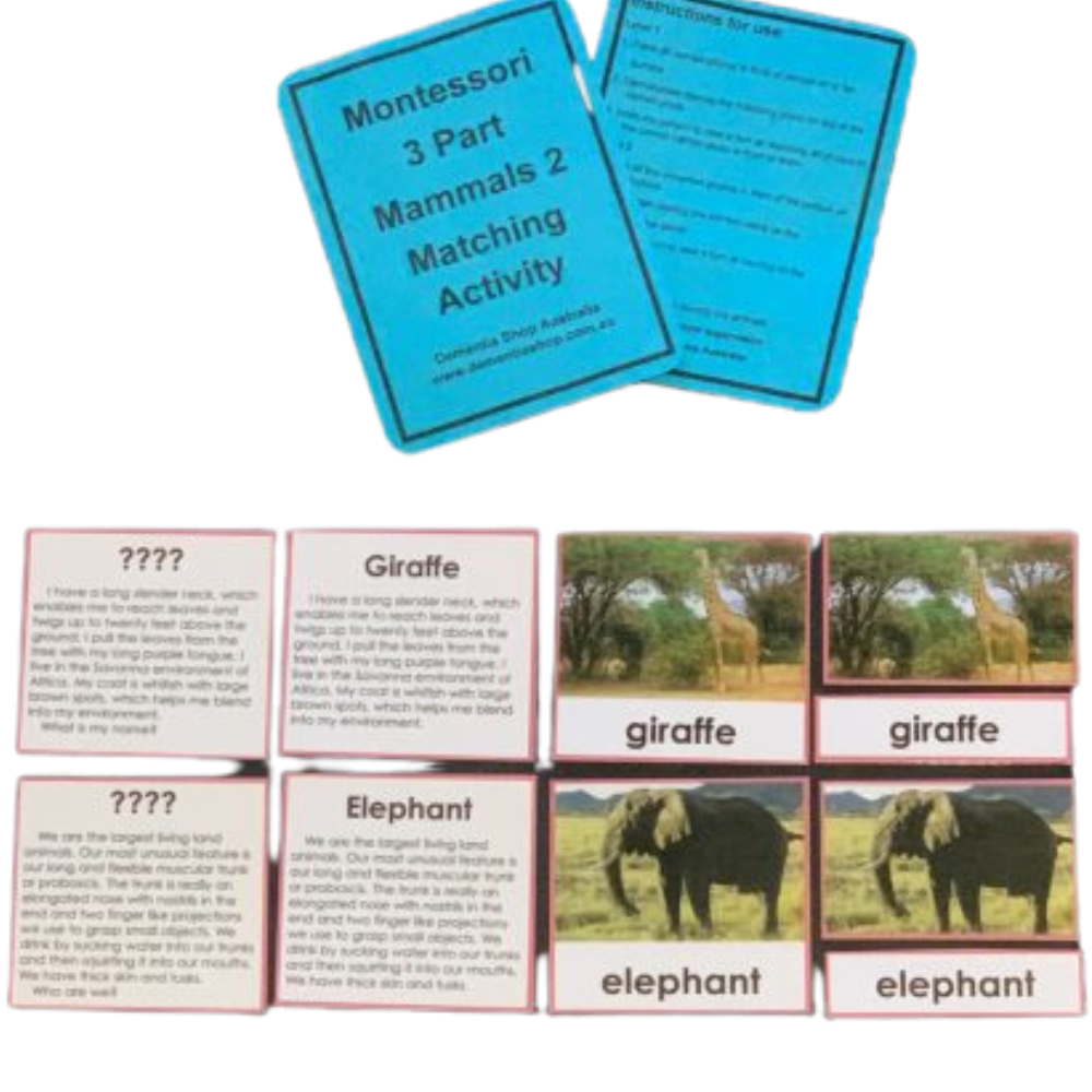 Montessori Three Part Matching Activity Level 3