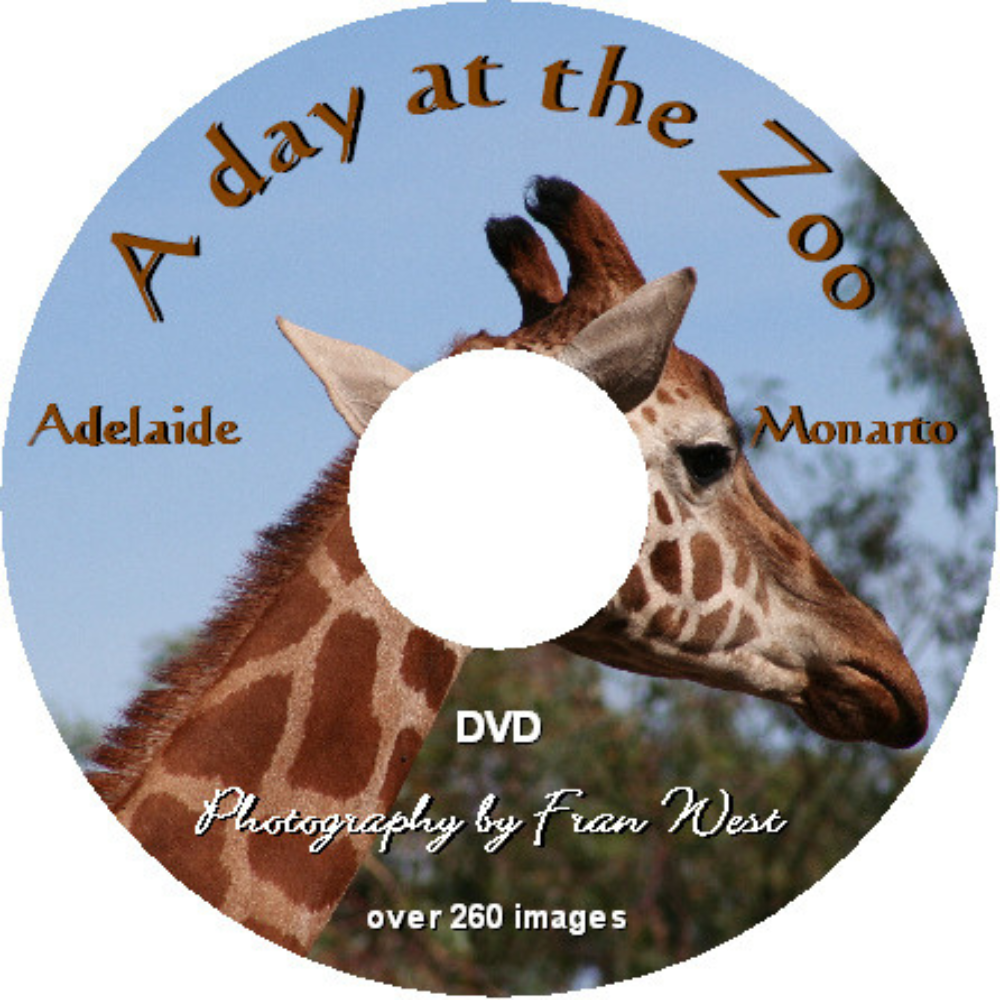 Picture DVD’s