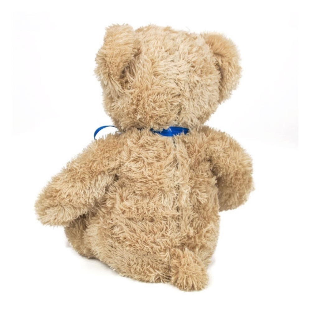 Arthur Bear