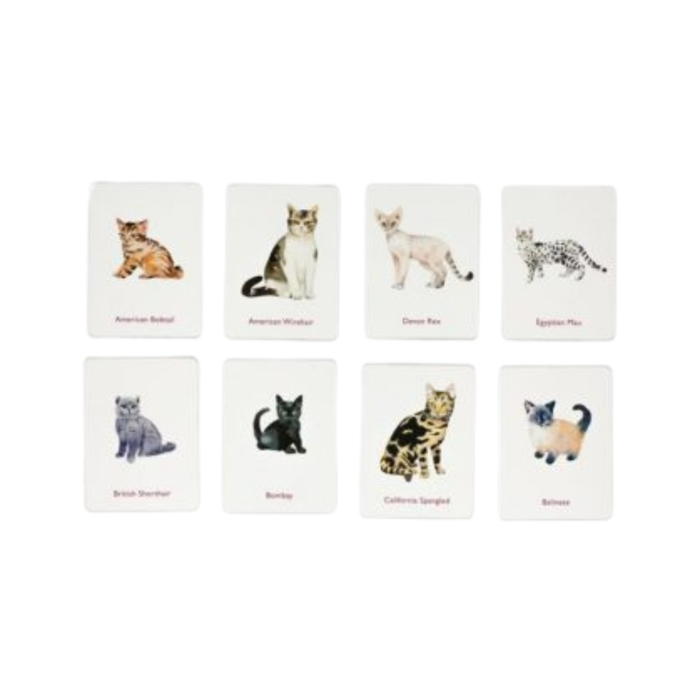 Cats and Kittens Memory Game