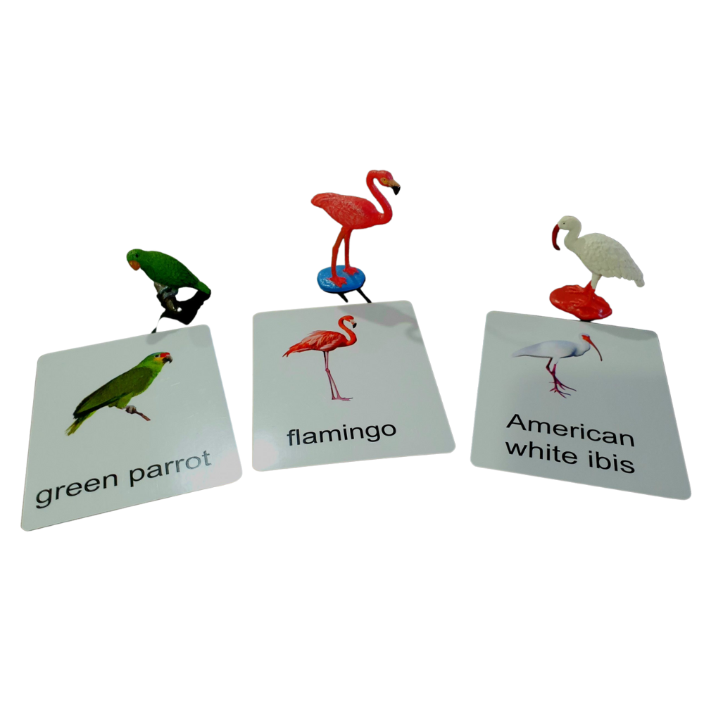 Miniatures with Matching Cards