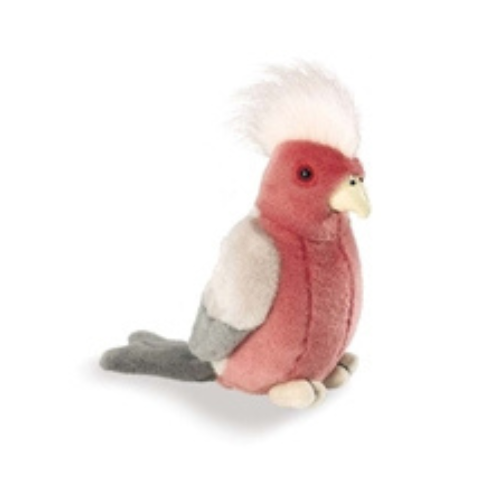 Birds With Sound – Assorted Varieties