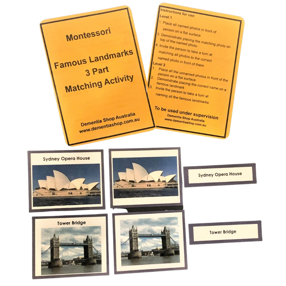 Montessori Three Part Matching Activity Level 3