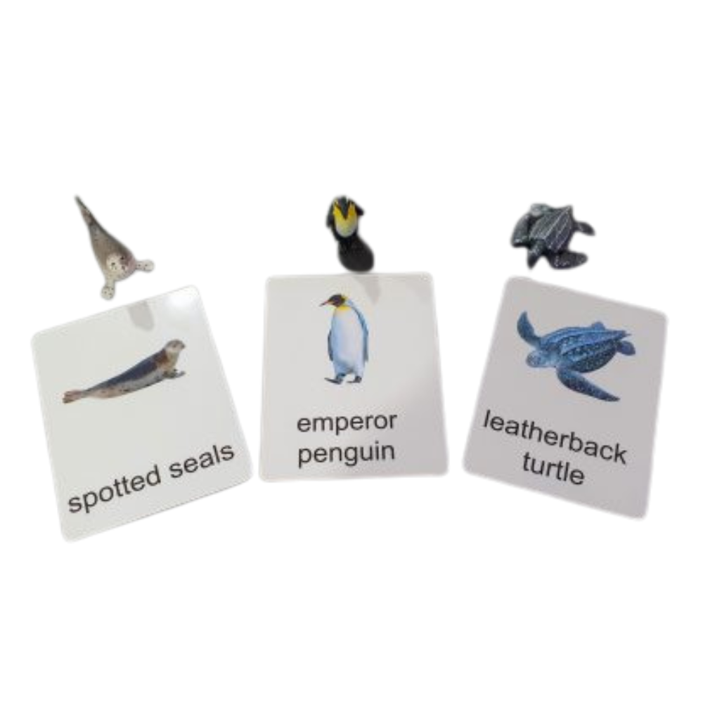 Miniatures with Matching Cards