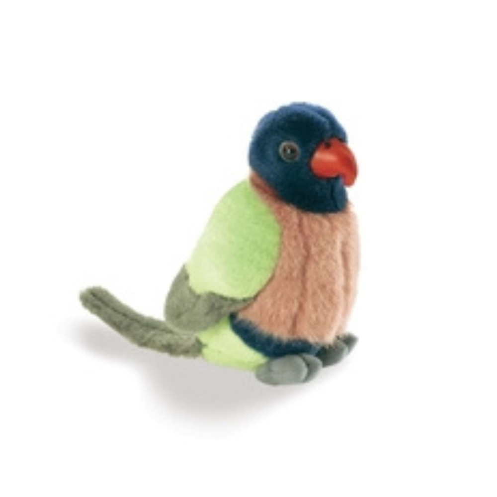 Birds With Sound – Assorted Varieties
