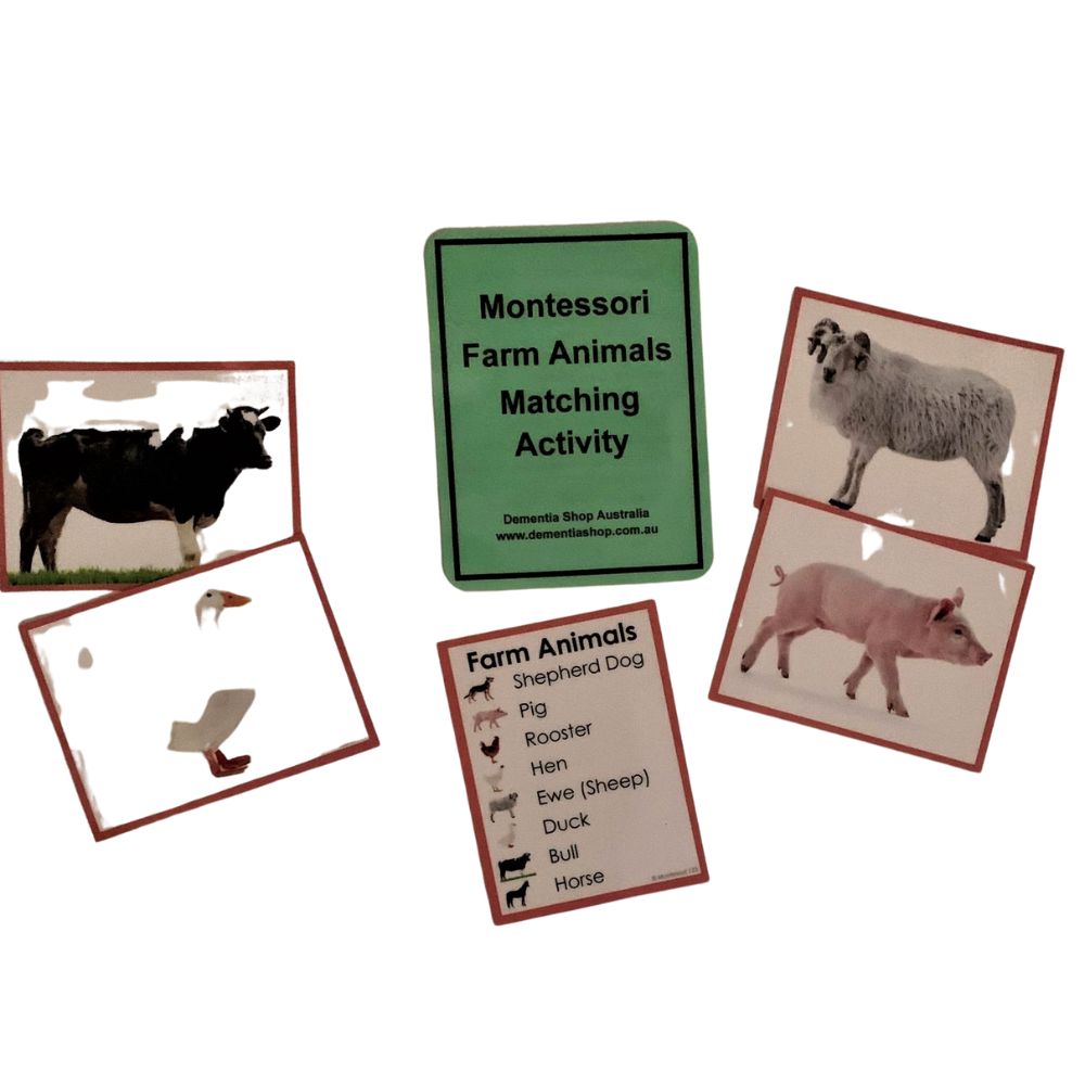 Montessori Matching Activities Level 1