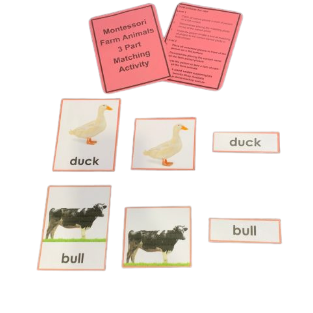 Montessori Three Part Matching Activity Level 3