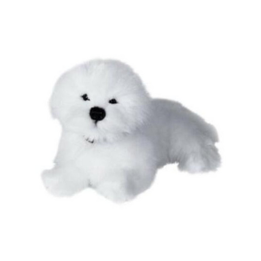 Annabelle Bichon Frise