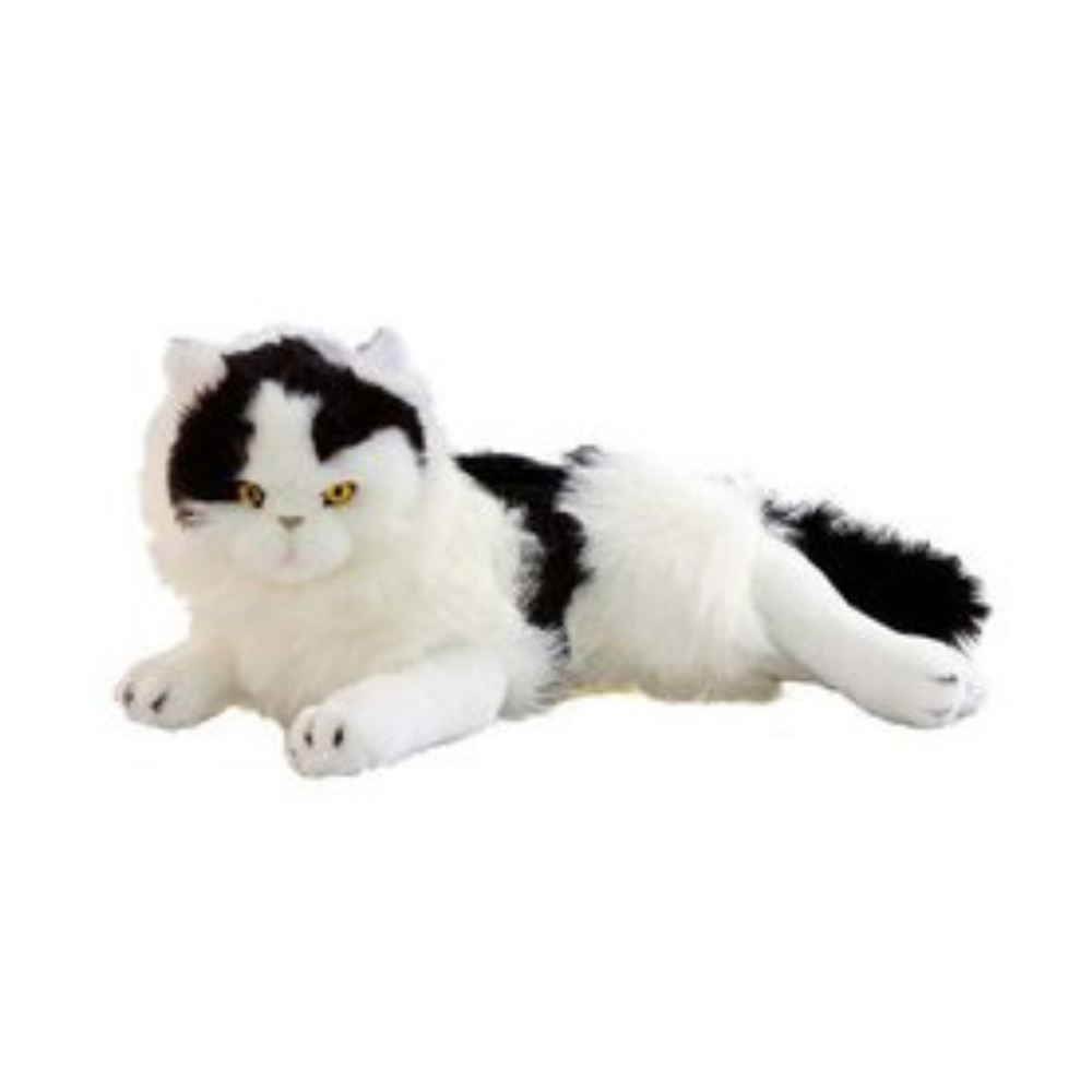Woodrow - European Cat