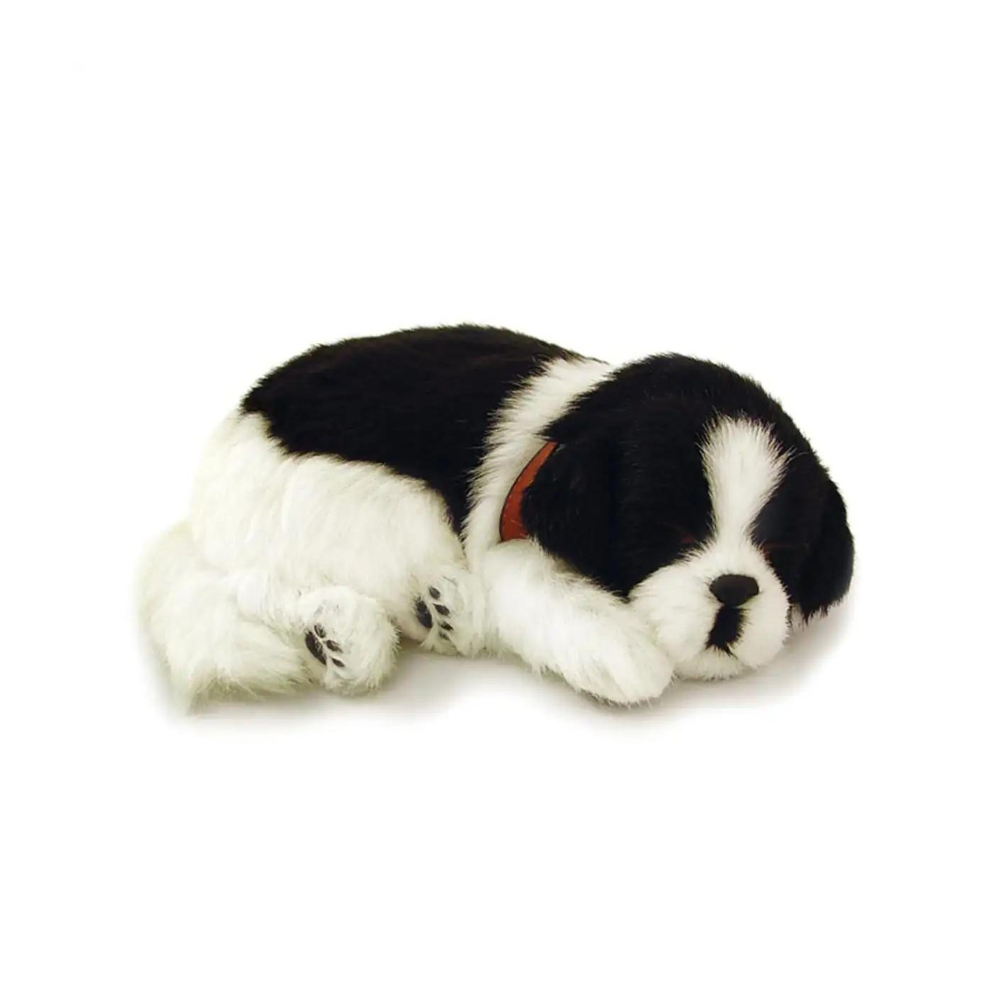 Perfect Petzzz