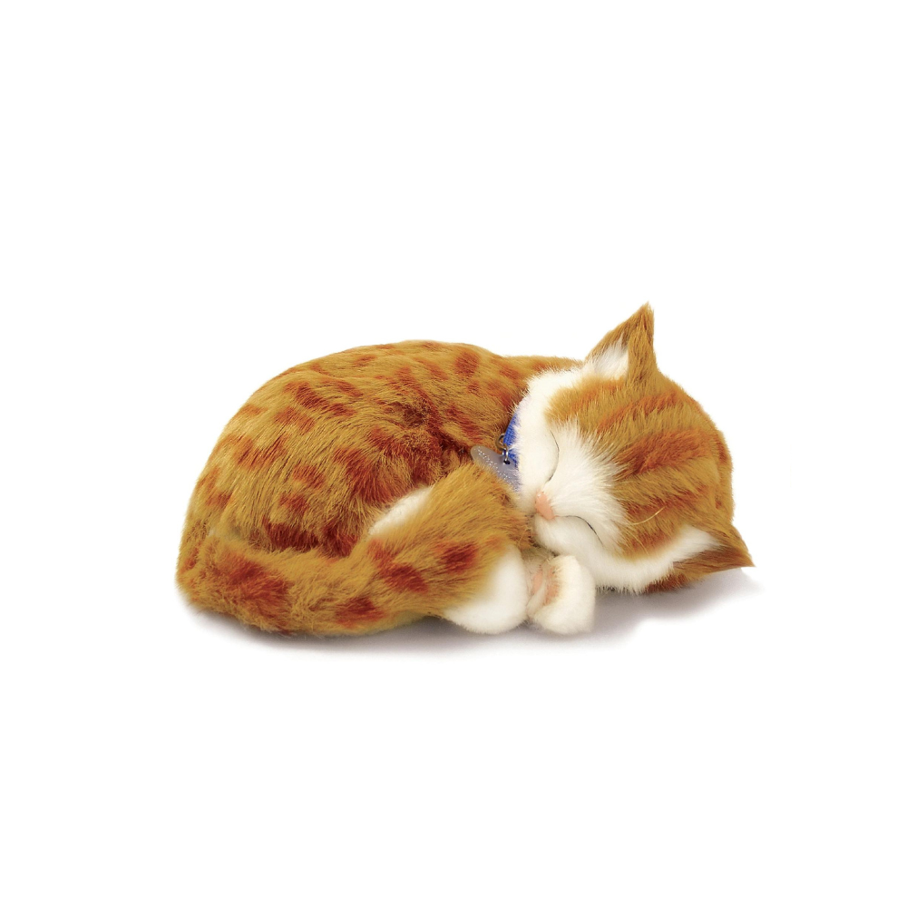 Perfect Petzzz