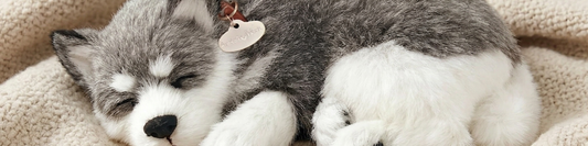 Why Perfect Petzzz Are a Customer Favourite for Dementia Support