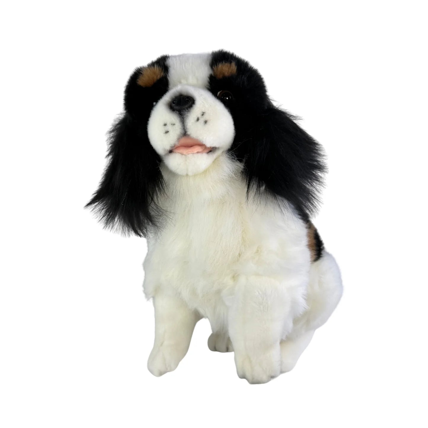Chester - Cavalier King Charles Spaniel - 32cm sitting