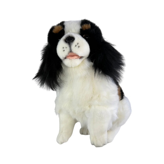 Chester - Cavalier King Charles Spaniel - 32cm sitting