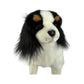 Chester - Cavalier King Charles Spaniel - 32cm sitting