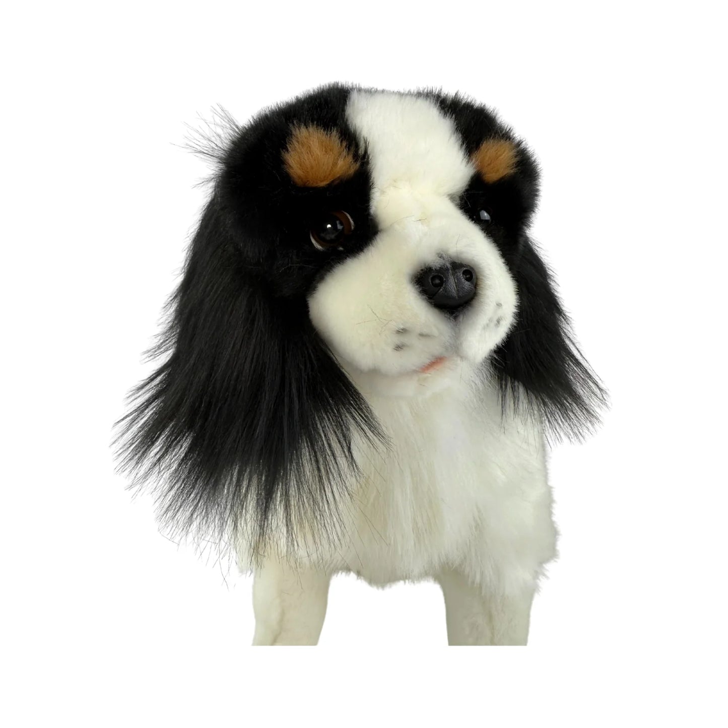 Chester - Cavalier King Charles Spaniel - 32cm sitting
