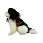 Chester - Cavalier King Charles Spaniel - 32cm sitting