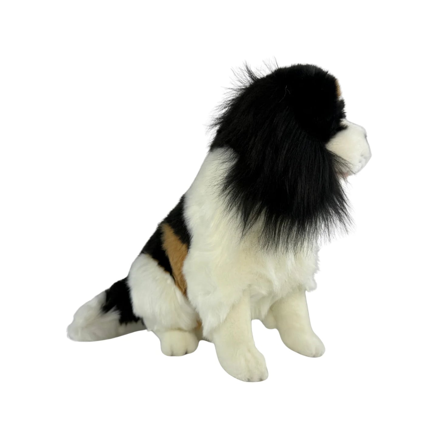 Chester - Cavalier King Charles Spaniel - 32cm sitting