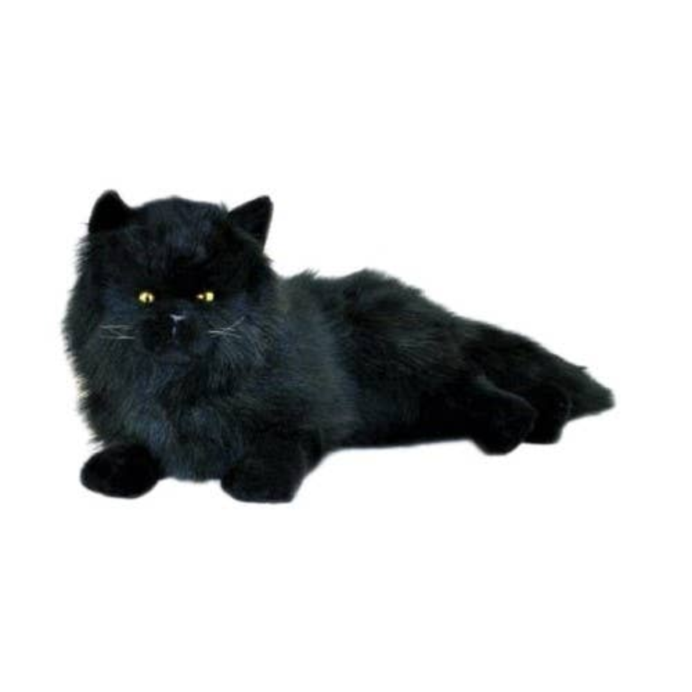 Onyx - Black cat