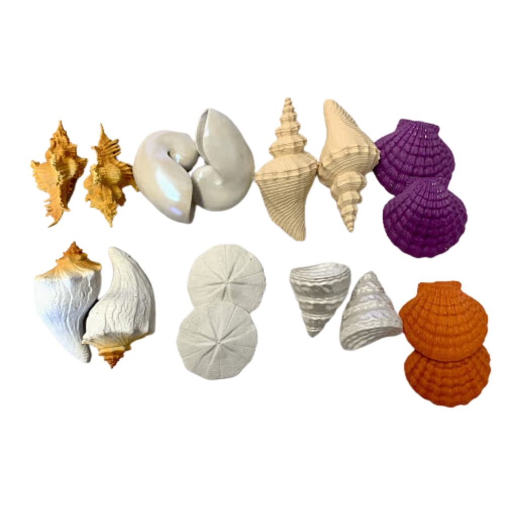 SeaShells Matching Activity - Out of Stock