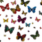 Magnetic Butterflies