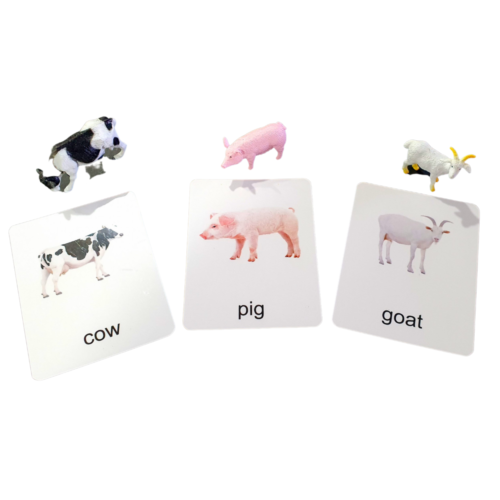 Miniatures with Matching Cards