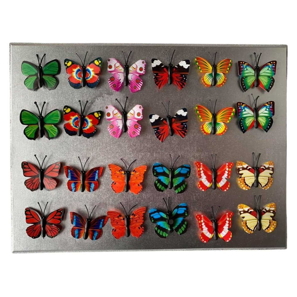 Butterfly Matching Activity