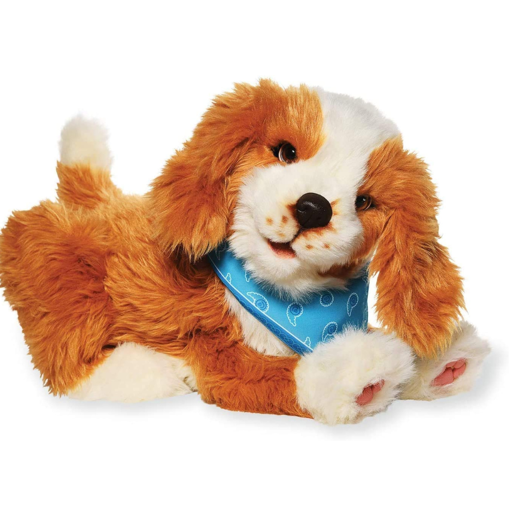 Companion Pups Dementia Shop Australia