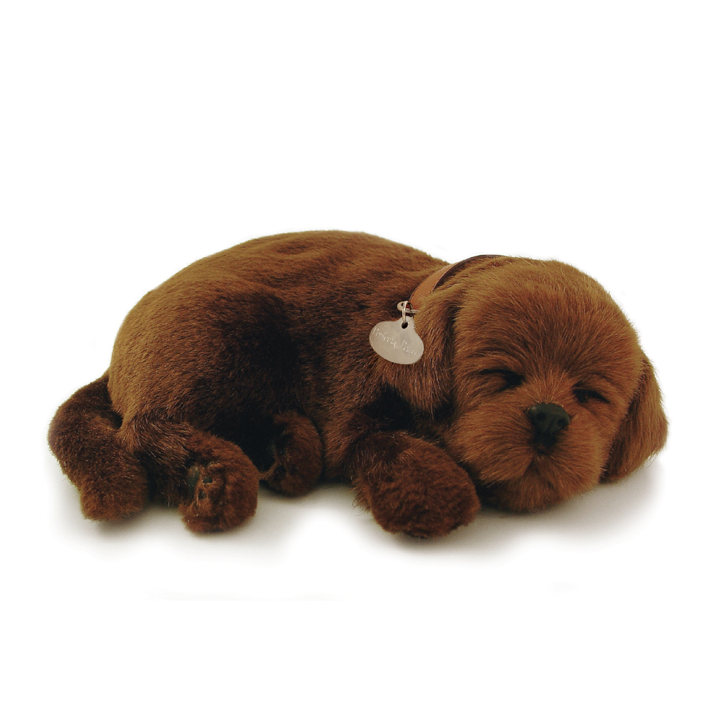 Perfect petzzz black lab best sale