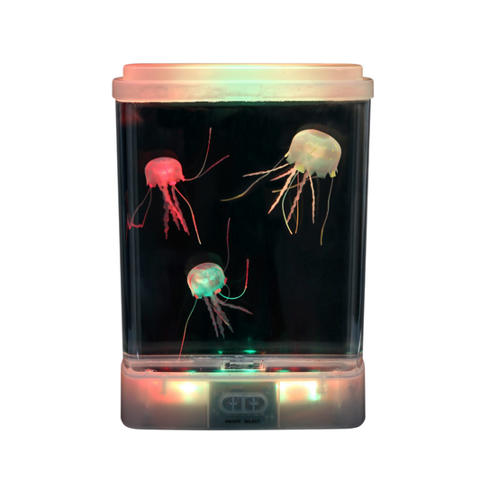 Illuminated Jellyfish Lamp