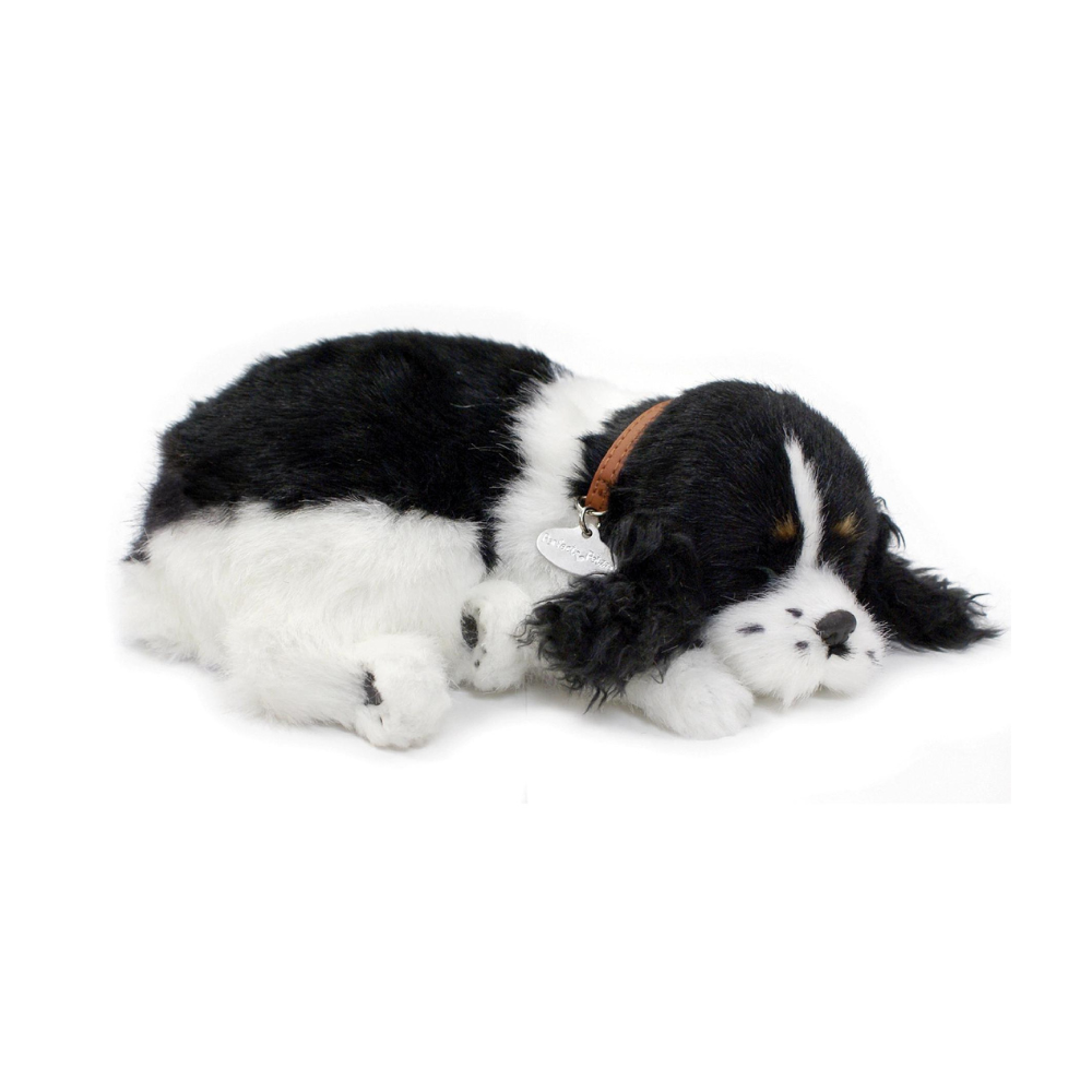 Perfect petzzz cavalier king charles outlet plush